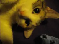 IMGP0115.webp