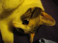 IMGP0116.webp