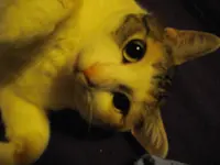 IMGP0117.webp