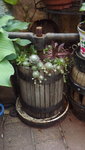 DSCF2860.JPG