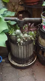 DSCF2860.webp