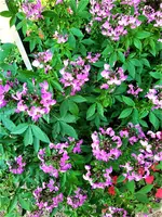 IMG_20200917_160551.webp