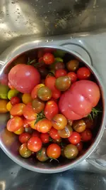 20200926_104332.webp