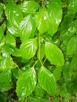 Bild3.webp