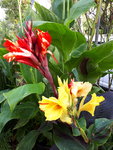 20200925_163001.jpg
