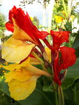 20200925_163022.jpg