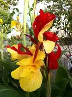 20200925_162943.webp