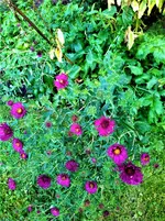 IMG_20200917_155653.jpg