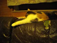IMGP0123.webp