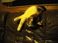 IMGP0119.webp