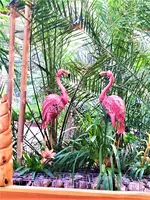 IMG_20200917_163810_1.webp
