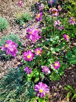 IMG_20200914_124219.webp
