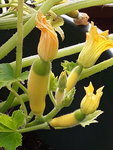 20200927_125422.jpg