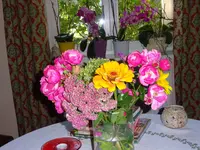 DSC01304.JPG