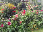 20200927_125904.jpg