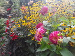 20200927_125443.jpg