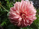 20200927_125546.jpg