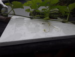 20200927_161733.jpg