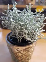 20200927_164055.webp 20200927_164055.webp