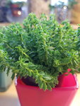 20200927_164211.jpg