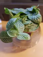 20200927_164335.webp 20200927_164335.webp