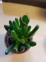 20200927_164917.webp 20200927_164917.webp