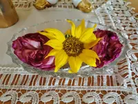 IMG_20200927_174644.webp