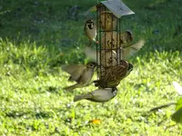 DSC01306.webp