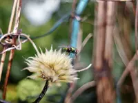 image011.jpg