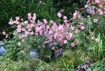 Sept .   0820.JPG