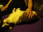 IMGP6156.JPG