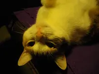 IMGP6160.webp