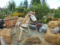 DSCF4173 (2).webp