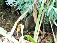 DSCF4170 (2).webp