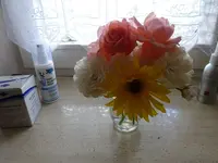 DSC01315.webp
