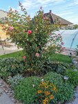IMG_20200924_091257.jpg