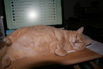 Sept.0920.JPG