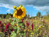 DSCF4159 (2).webp