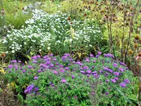 DSCF4171 (2).webp