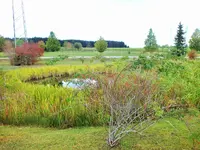 DSCF4181 (2).webp