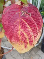 20200930_121216.webp