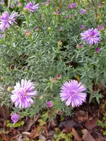 20200930_124118.webp