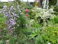 DSC01320.JPG