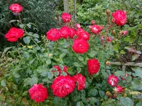 DSC01322.JPG