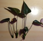 20200930_204258.jpg