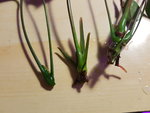 20200930_203859.jpg