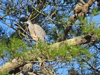 IMG_5959 v (2).webp