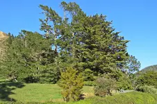IMG_5953 v (2).webp