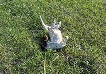 IMG_20200926_161023.webp