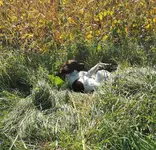 IMG_20200927_161939 (1).webp